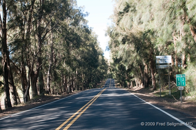 20091101_143356 D300.jpg - Kohala Mountain Road, Hawaii